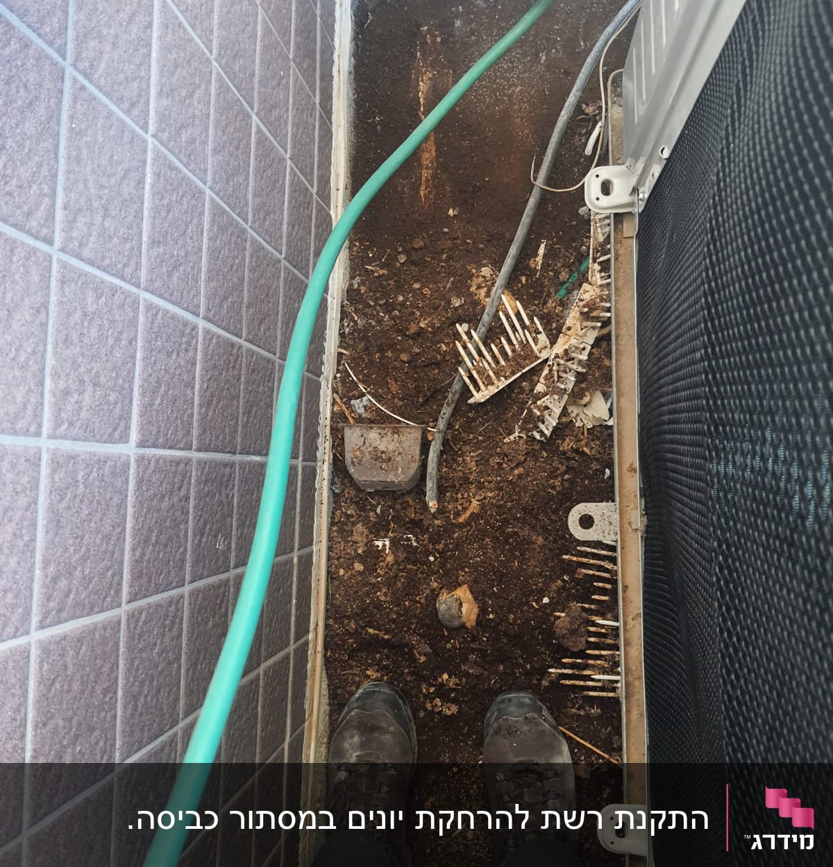 אדמה עם צינור ירוק וכלי עבודה להסרת יונים
